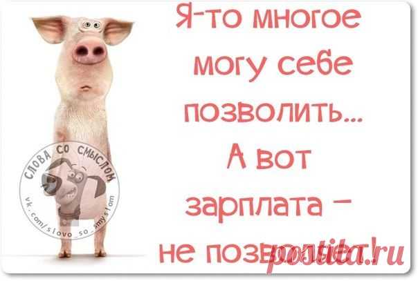 Прикольные фразки в картинках