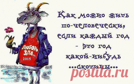 Интересные новости