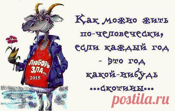 Интересные новости