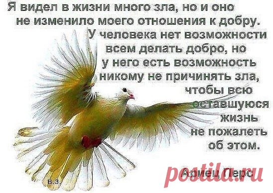 Всех лекарств целебнее -- СЕРДЕЧНОСТЬ ... Без неё нам не видать удач ...... Всех лекарств нужнее --- ЧЕЛОВЕЧНОСТЬ ... 
ЧУТКОСТЬ -- самый лучший ВРАЧ !!!!