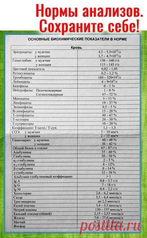 БАБУШКИНЫ СЕКРЕТЫ - Заметки | OK.RU
