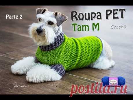 Roupa PET de Crochê | Tamanho M | Professora Simone Parte 2
