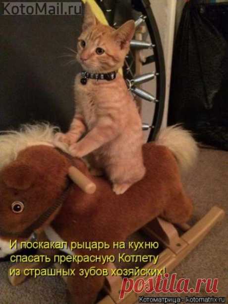 Поскакал рыцарь.
