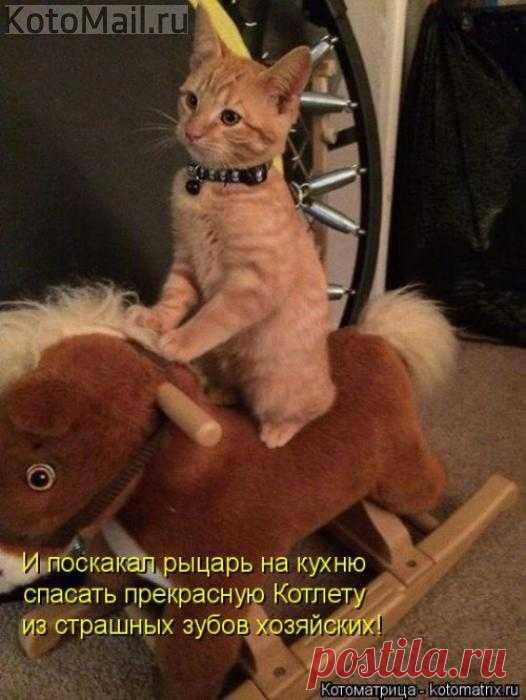 Поскакал рыцарь.