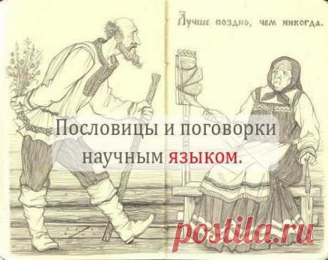 Пословицы и поговорки научным языком | Удивительный мир