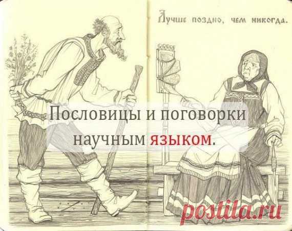 Пословицы и поговорки научным языком | Удивительный мир