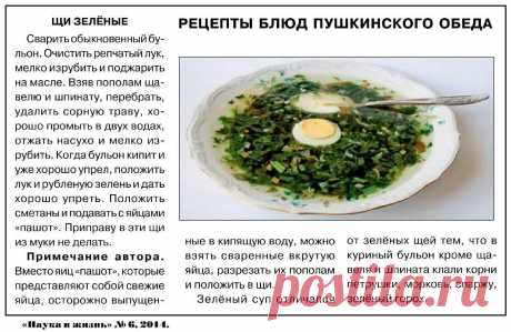 Щи зеленые