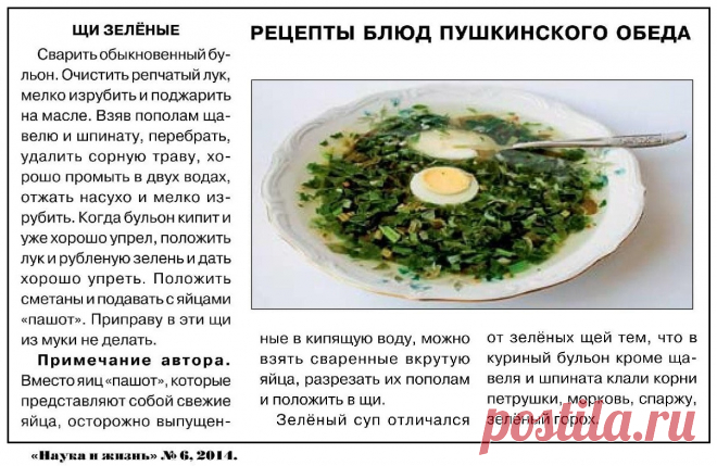 Щи зеленые