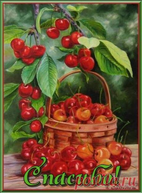 ОТКРЫТКИ ДЛЯ ВСЕХ СО СЛОВАМИ: СПАСИБО, БЛАГОДАРЮ, ПОЖАЛУЙСТА. - ОБЩЕНИЕ И ВСЕ САМОЕ ИНТЕРЕСНОЕ. - Группы Мой Мир