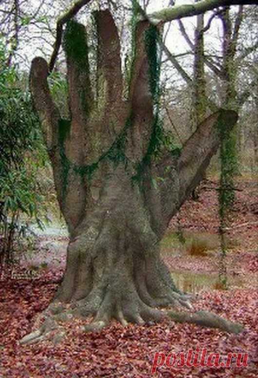 Google+