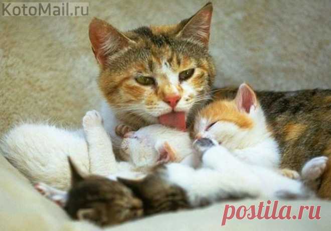 Моё самое большое счастье!
