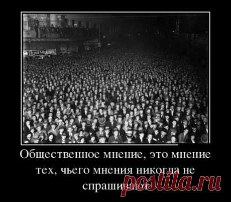 Демотиваторы подборочкой для хорошего настроения