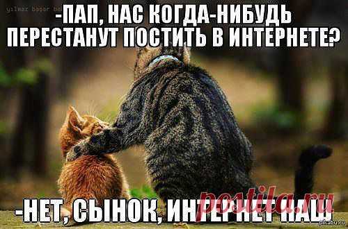 FISHKI.NET - Фотографии Хроники