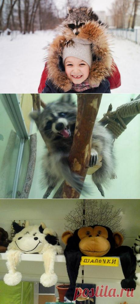 Зоопарк контактный Бембик Казань | VK