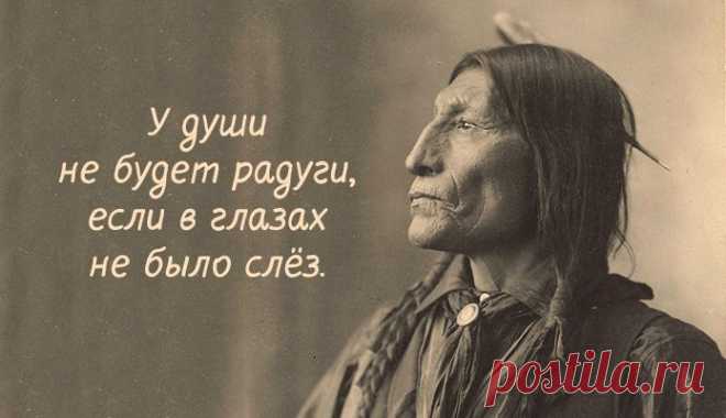 Мудрости индейцев, актуальные и сегодня — Болтай