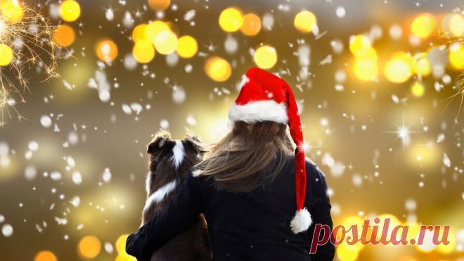 Россияне рассказали, какую сумму заложили на новогодние праздники. Большинство россиян будут проводить каникулы с семьей за просмотром фильмов и сериалов, не планируя каких-то конкретных событий, но оставляя место для спонтанных активностей. Потратить на все свои развлечения опрошенные планируют в среднем ...