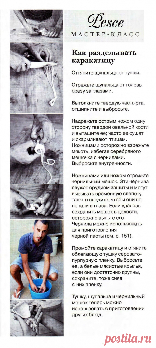Как разделывать каракатицу
