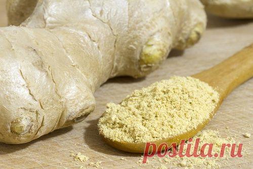 Какие лекарственные травы помогут очистить и укрепить бронхи? - Шаг к Здоровью