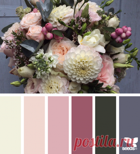 design seeds | flora palette | for all who ♥ color