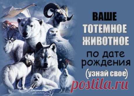 КАКОЕ ЖИВОТНОЕ СООТВЕТСТВУЕТ ВАШЕМУ ДНЮ РОЖДЕНИЯ И ЧТО ОНО ОЗНАЧАЕТ 
Животное по дате рождения:
1 - 9 января – Собака;
10 - 24 января – Мышь;
25 - 31 января – Лев;
1 - 5 января – Кошка;
6 - 14 февраля – Голубь;
15 - 21 февраля – Черепаха;
22 - 28 февраля – Пантера;
1 - 12 марта – Обезьяна;
13 - 15 марта – Лев;
16 - 23 марта – Мышь;
24 - 31 марта – Кошка;
1 - 3 апреля – Собака;
4 - 14 апрель – Пантера;
15 - 26 апреля – Мышь;
27 - 30 апреля – Черепаха;
1 - 13 мая – Обезьяна;...