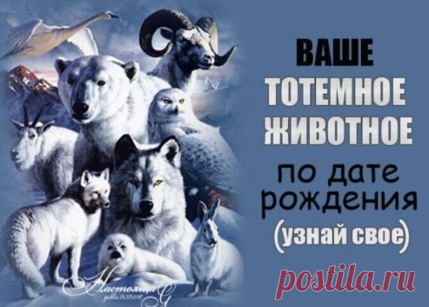 КАКОЕ ЖИВОТНОЕ СООТВЕТСТВУЕТ ВАШЕМУ ДНЮ РОЖДЕНИЯ И ЧТО ОНО ОЗНАЧАЕТ 
Животное по дате рождения:
1 - 9 января – Собака;
10 - 24 января – Мышь;
25 - 31 января – Лев;
1 - 5 января – Кошка;
6 - 14 февраля – Голубь;
15 - 21 февраля – Черепаха;
22 - 28 февраля – Пантера;
1 - 12 марта – Обезьяна;
13 - 15 марта – Лев;
16 - 23 марта – Мышь;
24 - 31 марта – Кошка;
1 - 3 апреля – Собака;
4 - 14 апрель – Пантера;
15 - 26 апреля – Мышь;
27 - 30 апреля – Черепаха;
1 - 13 мая – Обезьяна;...
