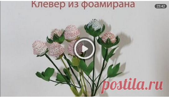 (75) Одноклассники