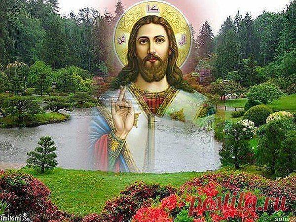 Не дай вам БОГ вдруг очерстветь душою…
В глазах родных вам не увидеть боли…
И за рутиной дел забыть о близких…
Не дай вам БОГ упасть душою низко…
Пройти и не подать кусочка хлеба…
Забыть о судном дне, что ждет на небе…
И не помочь, упавшим на колени…
И дать душе покрыться мраком, ленью…
Не дай вам БОГ вдруг очерстветь душою…
И частокол бездушия построить…