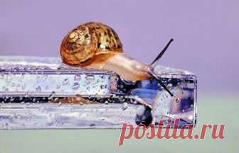 Реалистичные картины от Ёнсун Кима Ёнсун Ким (Young-Sung Kim) — корейский художник, в настоящее время живущий и работающий в Нью-Йорке, США. Он хорошо известен во всём мире благодаря своим гиперреалистичным картинам, представленным в м...