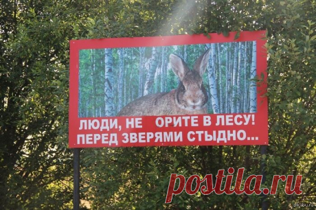 ))