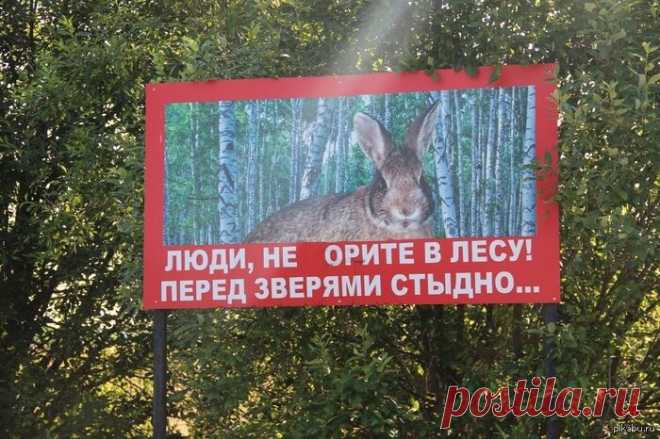 ))