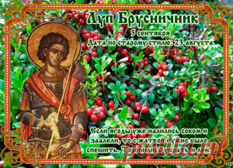 Луппенские заморозки, которые обычно случались в этот период, играли важную роль в природных процессах.