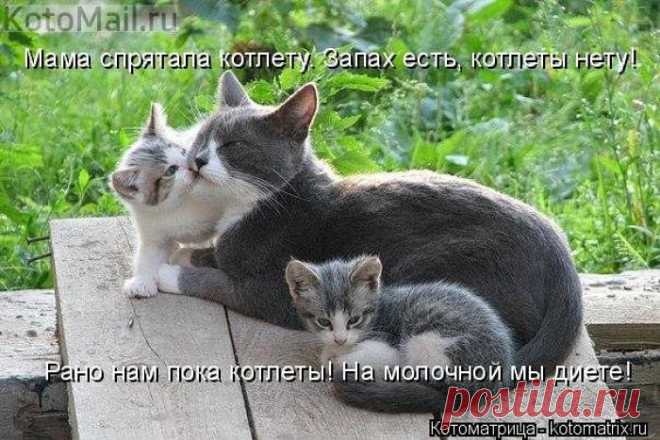 Молочная диета...