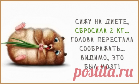 Весёлые картинки – Фитнес для мозга