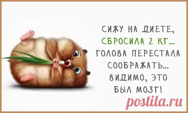 Весёлые картинки – Фитнес для мозга