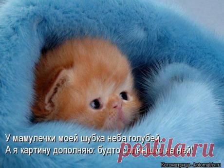 Лучшие посты только для вас