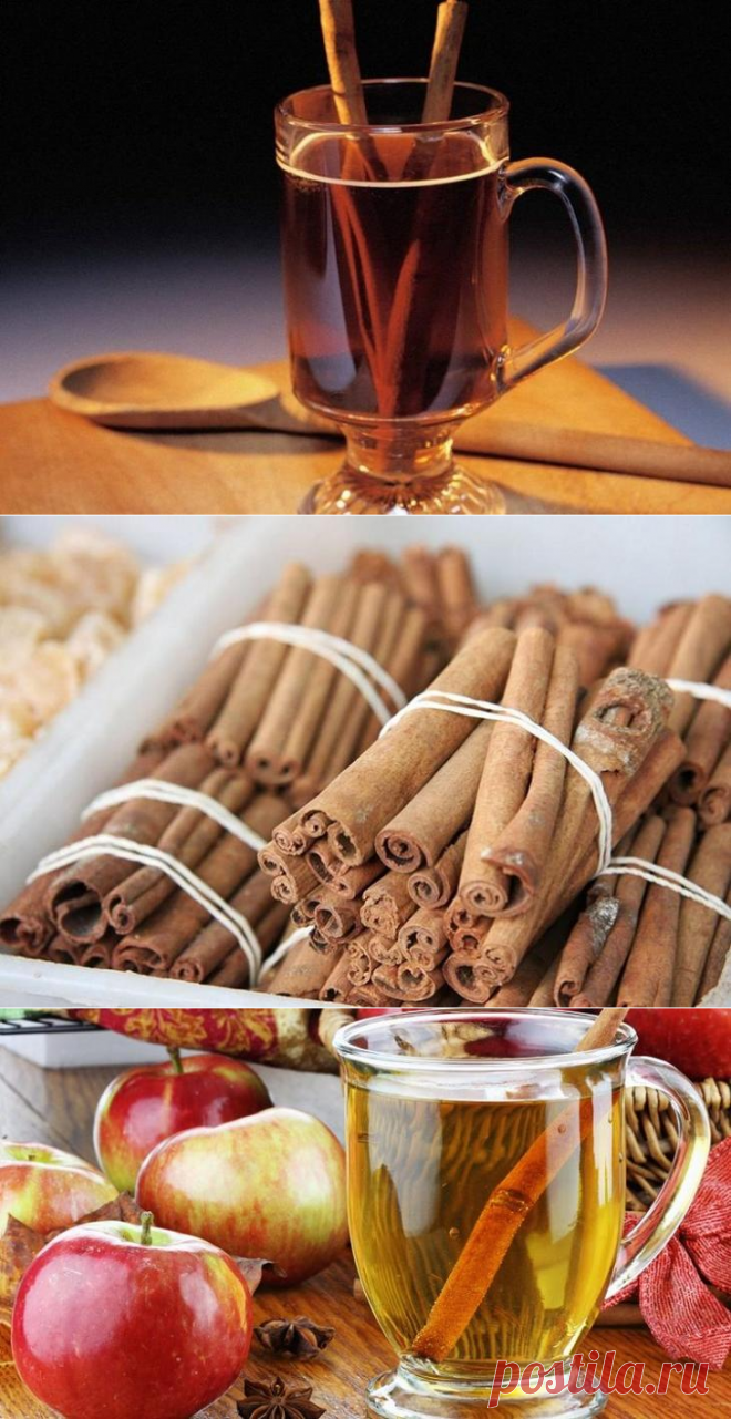 О пользе обычной корицы