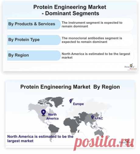 Protein engineering market is likely to witness a CAGR of 12.6% during the forecast period. Increasing investments in synthetic biology and mounting focus on protein-based drug development by biotechnology and pharmaceutical companies are the major factors that are driving the protein engineering market.