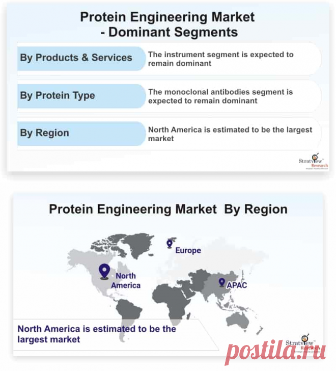 Protein engineering market is likely to witness a CAGR of 12.6% during the forecast period. Increasing investments in synthetic biology and mounting focus on protein-based drug development by biotechnology and pharmaceutical companies are the major factors that are driving the protein engineering market.