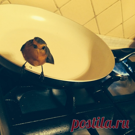 Аглая Тарасова в инстаграм: свежие фото и видео за сегодня