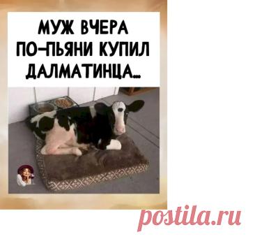 ЮморВыпуск №7396 - выпуск анекдотов сайта вокруг смеха