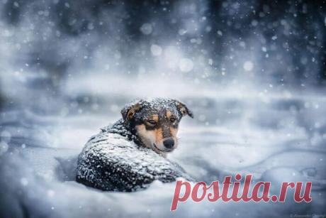 Три одиночества...