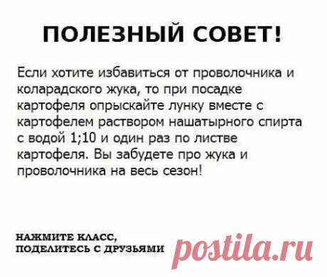 ● Чтобы не потерять эту информацию, жмите &quot;Класс!&quot; и &quot;Поделиться&quot;