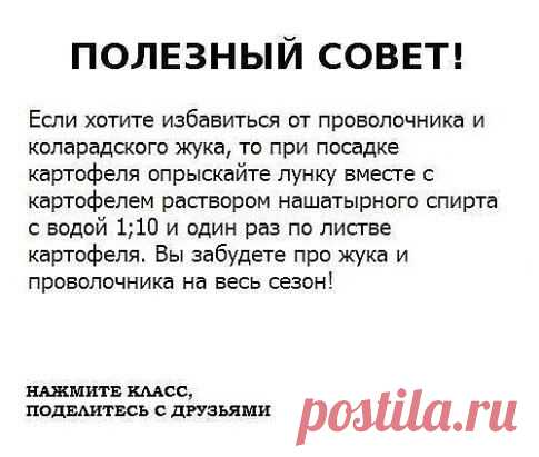 ● Чтобы не потерять эту информацию, жмите "Класс!" и "Поделиться"