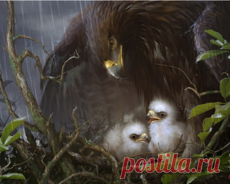 Вы знаете, как самка выбирает себе отца для своих орлят? 

Она делает такую интересную вещь. С дерева или куста она отламывает веточку, берёт её в клюв, поднимается на большую высоту и с этой веточкой начинает там кружить. Вокруг самки начинают летать орлы, тогда она бросает эту ветку вниз, а сама смотрит. И вот какой-то орёл подхватывает эту ветку в воздухе, не дав ей упасть, а затем приносит её к самке очень аккуратно, из