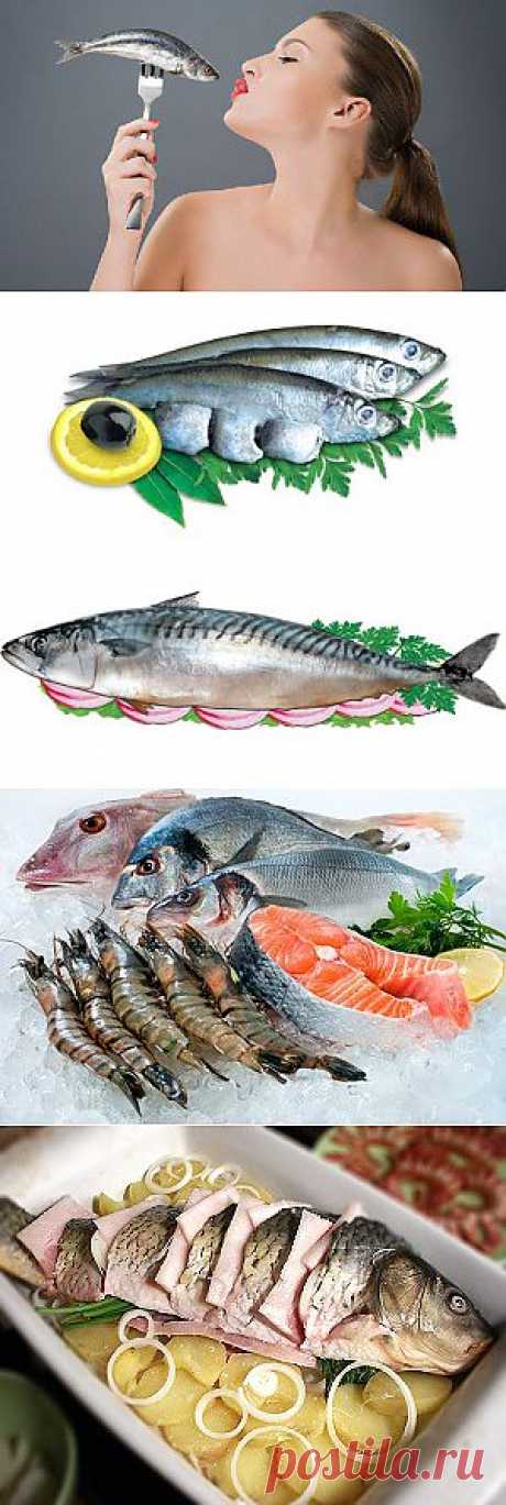 Какая рыба самая полезная. Рыба для похудения. Какая рыба полезна для беременных. | Твоя Iзюминка