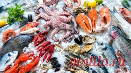 Список из 9 полезных морепродуктов, которые рекомендуются для приема в пищу зимой — Идеальное решение!