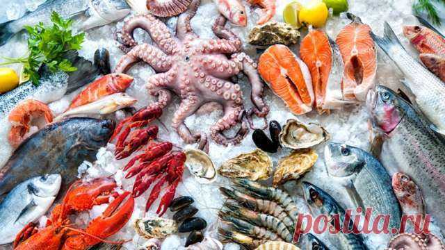 Список из 9 полезных морепродуктов, которые рекомендуются для приема в пищу зимой — Идеальное решение!