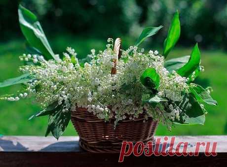 Мой Мир@Mail.Ru