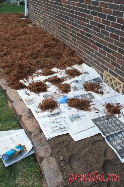 Борьба с сорняками