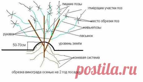 Дачник
https://vk.com/public134655935